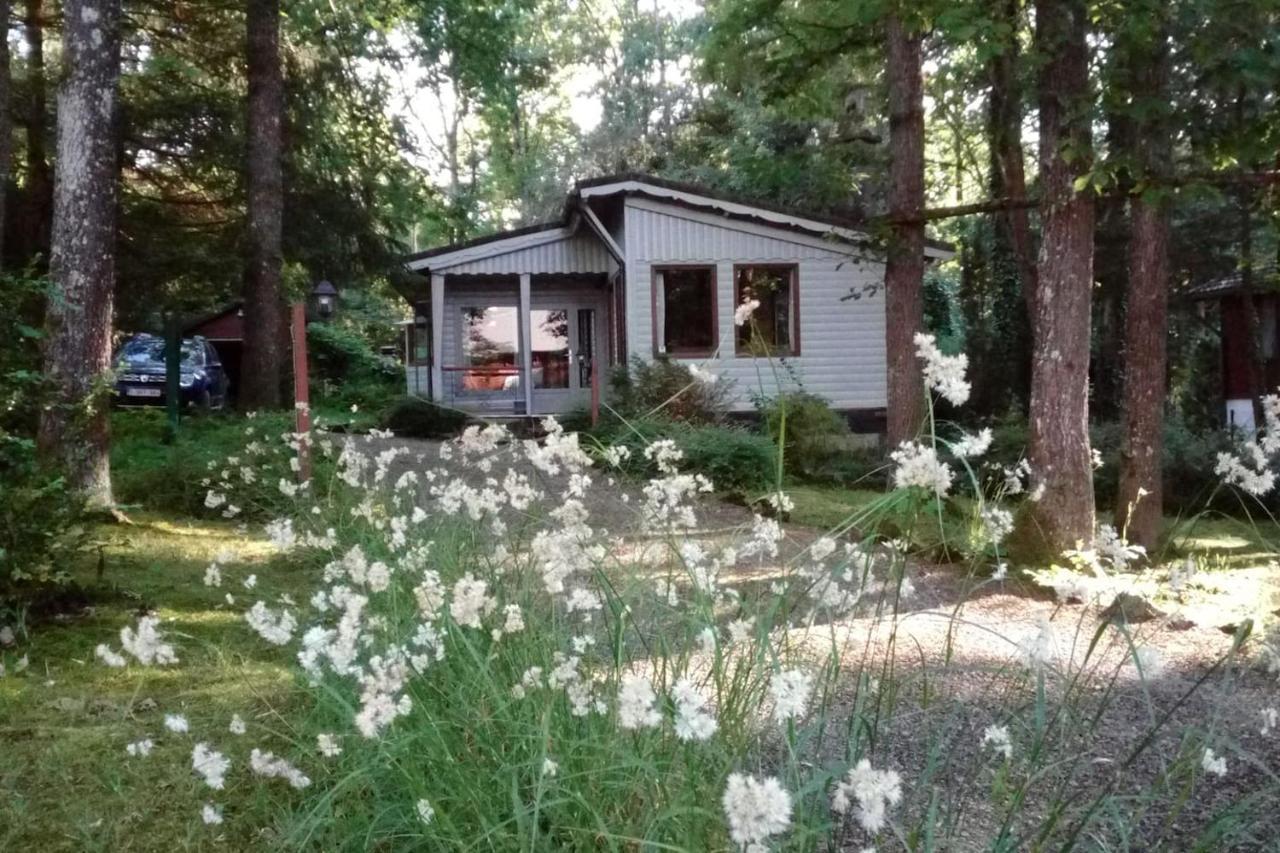 Chalet Siesta Is Rust & Natuur In Durbuy - Barvaux-Sur-Ourthe 外观 照片