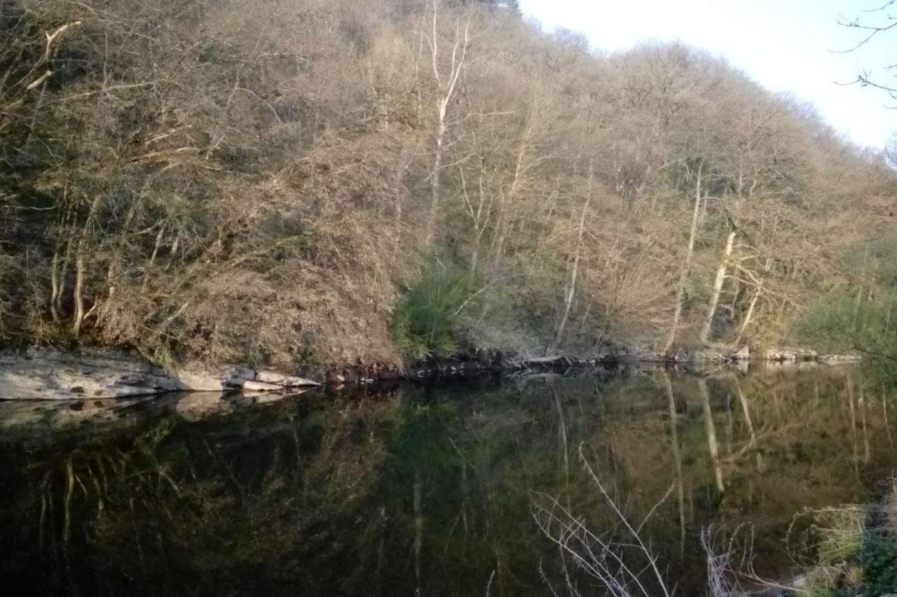 Chalet Siesta Is Rust & Natuur In Durbuy - Barvaux-Sur-Ourthe 外观 照片