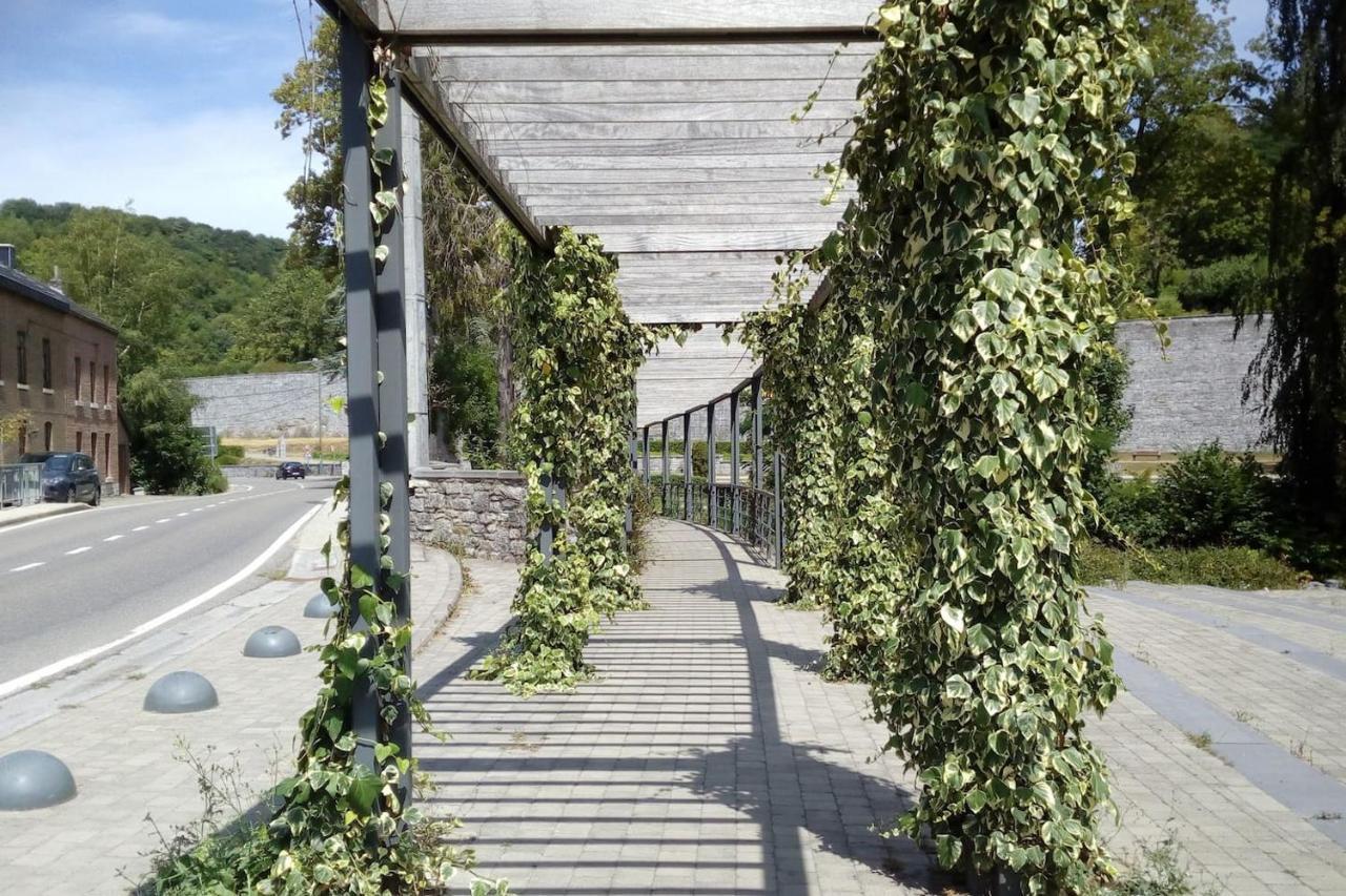 Chalet Siesta Is Rust & Natuur In Durbuy - Barvaux-Sur-Ourthe 外观 照片