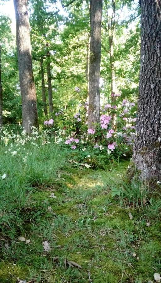 Chalet Siesta Is Rust & Natuur In Durbuy - Barvaux-Sur-Ourthe 外观 照片