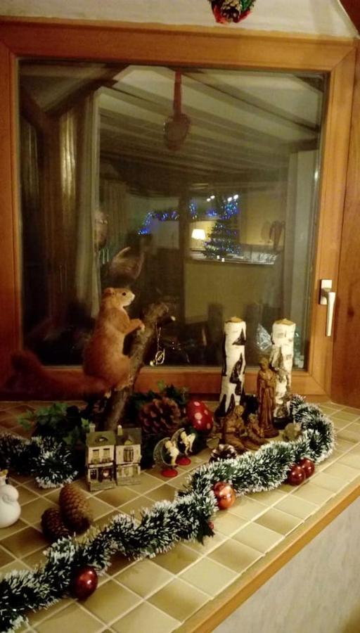 Chalet Siesta Is Rust & Natuur In Durbuy - Barvaux-Sur-Ourthe 外观 照片